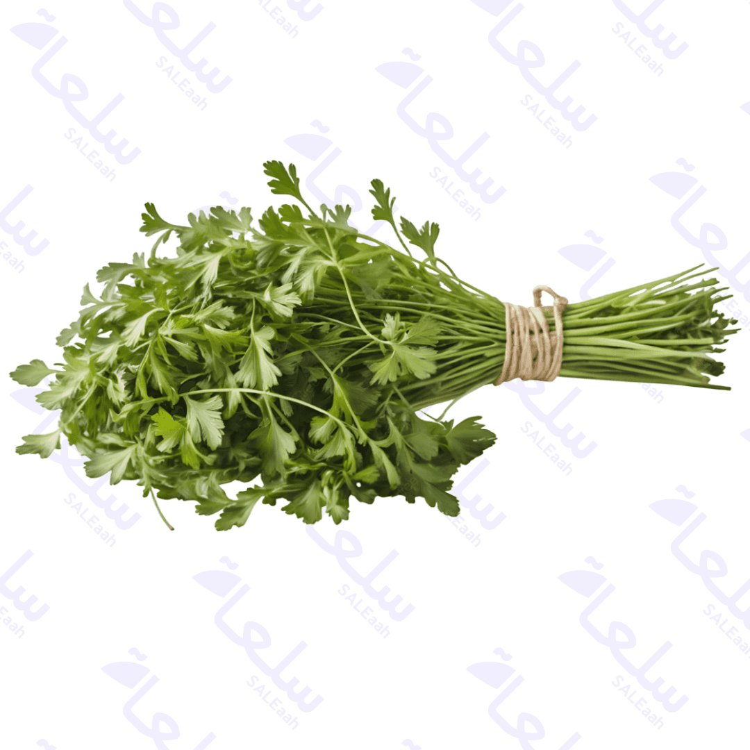 اشترِ فواكه وخضروات – 1كغ - 2كغ - 5كغ – سعر الجملة | سلعة