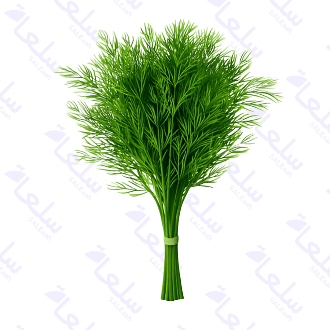 اشترِ فواكه وخضروات – 1كغ - 2كغ - 5كغ – سعر الجملة | سلعة