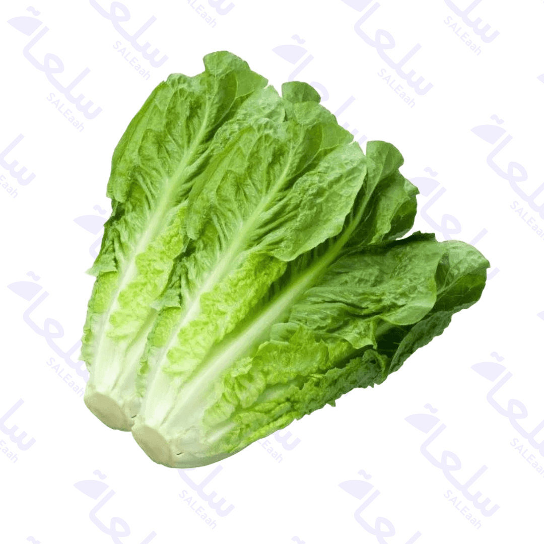 اشترِ فواكه وخضروات – 1كغ - 2كغ - 5كغ – سعر الجملة | سلعة